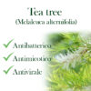 tea tree proprieta-prodotti-pharmafit-base